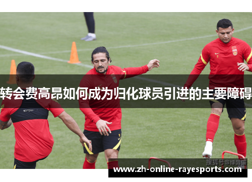 转会费高昂如何成为归化球员引进的主要障碍 转会费高昂如何成为归化球员引进的主要障碍