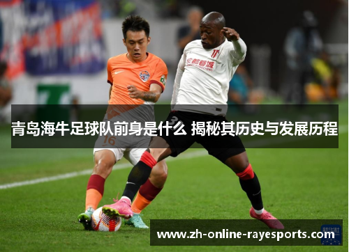 青岛海牛足球队前身是什么 揭秘其历史与发展历程 青岛海牛足球队前身是什么 揭秘其历史与发展历程
