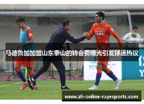 马德鲁加加盟山东泰山的转会费曝光引发球迷热议 马德鲁加加盟山东泰山的转会费曝光引发球迷热议
